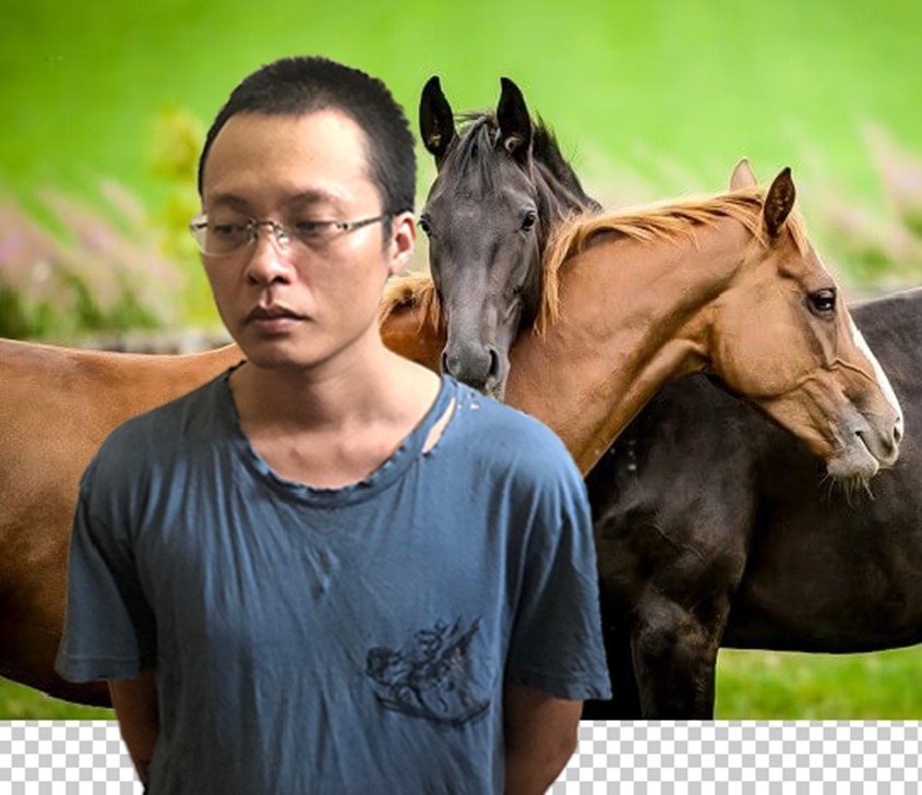 Phan Anh